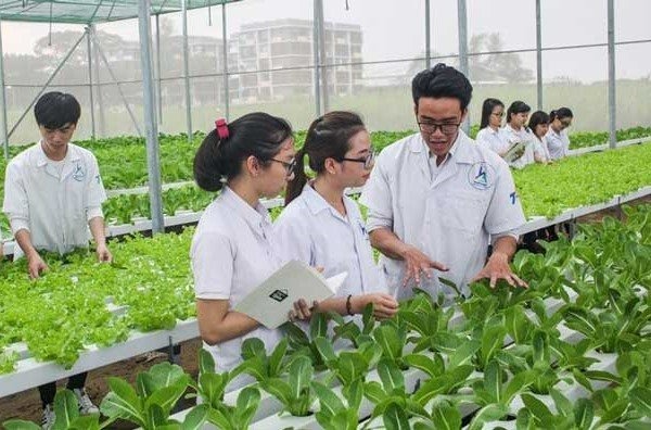 quinn-vietnam-manpower-greenhouse-technician