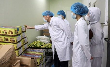 quinn-vietnam-manpower-food-processing-management-staff